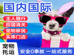 博乐阿拉山口航空运输国际宠物托运 【国